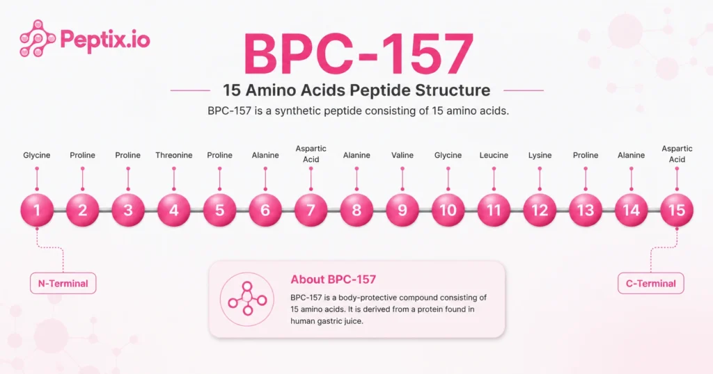 What Is BPC-157? Everything You Need to Know About This Research Peptide